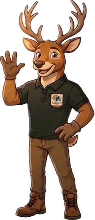 Aménagements Agénor